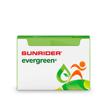 Load image into Gallery viewer, Evergreen
